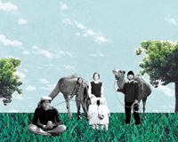 The Features - The Beginning Wallpaper